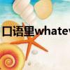 口語里whatever（whatever口語什么意思）