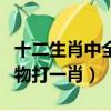 十二生肖中全身都是寶的生肖（全身是寶的動物打一肖）
