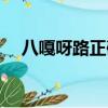 八嘎呀路正確翻譯（八格牙路什么意思）