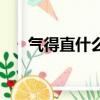 氣得直什么二年級上冊（氣得直什么）