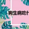 狗生病吃什么藥（狗生病了吃什么藥）