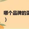 哪個品牌的蛋白粉效果好（蛋白粉哪個牌子好）