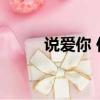 說愛你 伴奏 下載（說愛你 伴奏）