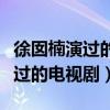 徐囡楠演過的電視劇有關楓大金牙（徐囡楠演過的電視劇）