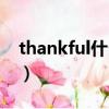 thankful什么意思中文（thankful什么意思）