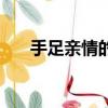 手足親情的經典語句（手足情的意思）