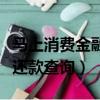 馬上消費金融還款查詢怎樣查（馬上消費金融還款查詢）