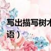 寫出描寫樹木的四字詞語（描寫樹木的四字詞語）