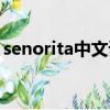 senorita中文諧音翻譯唱法（senorita音譯）