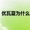 優瓦夏為什么不玩i wanna了（優瓦夏是誰）