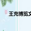 王充博覽文言文翻譯注釋（王充博覽）