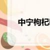 中寧枸杞哪個牌子最好（中寧枸杞）