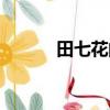 田七花的功效和主治（田七花）
