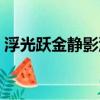 浮光躍金靜影沉璧翻譯的意思（翻譯的意思）