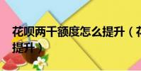 花唄兩千額度怎么提升(花唄2000額度怎么提升)