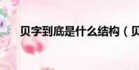 貝字到底是什么結構(貝是什么結構)