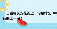 一日看盡長安花的上一句是什么1001無標題(一日看盡長安花的上一句)