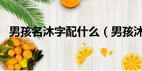 男孩名沐字配什么(男孩沐配什么字好聽)