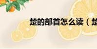 楚的部首怎么讀(楚的部首)