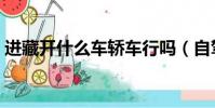 進藏開什么車轎車行嗎(自駕進藏開什么車)