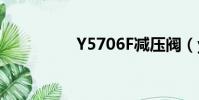 Y5706F減壓閥(y570)