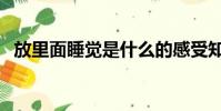 放里面睡覺是什么的感受知乎(怎么雙飛)