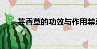 蕓香草的功效與作用禁忌(云香草)