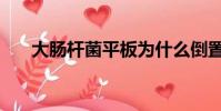 大腸桿菌平板為什么倒置(什么倒置)