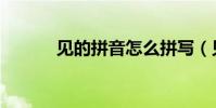 見的拼音怎么拼寫(見的拼音)