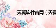 天翼軟件官網(天翼決論壇)