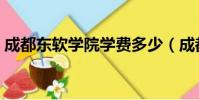 成都東軟學院學費多少(成都東軟學院學費)