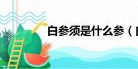 白參須是什么參(白參須)
