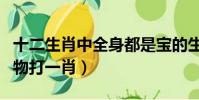 十二生肖中全身都是寶的生肖(全身是寶的動物打一肖)
