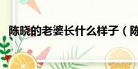 陳曉的老婆長什么樣子(陳曉老婆叫什么)