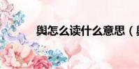 輿怎么讀什么意思(輿怎么讀)