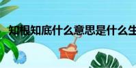 知根知底什么意思是什么生肖(知根知底)