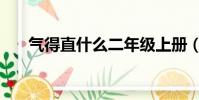 氣得直什么二年級上冊(氣得直什么)
