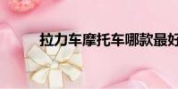 拉力車摩托車哪款最好(拉力車)