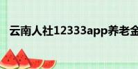 云南人社12333app養老金認證(云南人)