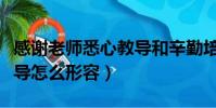 感謝老師悉心教導和辛勤培育意思(老師的教導怎么形容)