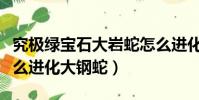 究極綠寶石大巖蛇怎么進化大鋼蛇(大巖蛇怎么進化大鋼蛇)