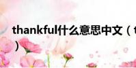thankful什么意思中文(thankful什么意思)