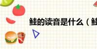 鮭的讀音是什么(鮭魚讀音)