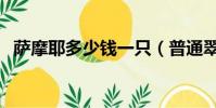 薩摩耶多少錢一只(普通翠鳥多少錢一只)
