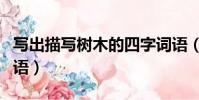 寫出描寫樹木的四字詞語(描寫樹木的四字詞語)