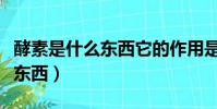 酵素是什么東西它的作用是什么(酵素是什么東西)