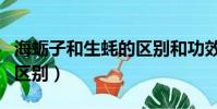 海蠣子和生蠔的區別和功效(海蠣子和生蠔的區別)