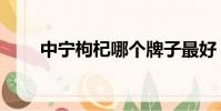 中寧枸杞哪個牌子最好(中寧枸杞)