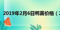 2019年2月6日鴨苗價格(2019年2月6日)