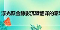 浮光躍金靜影沉璧翻譯的意思(翻譯的意思)